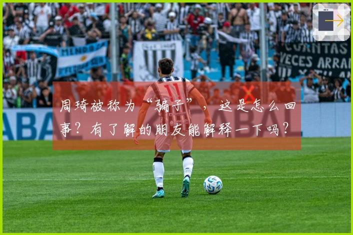 周琦被称为“骗子”，这是怎么回事？有了解的朋友能解释一下吗？