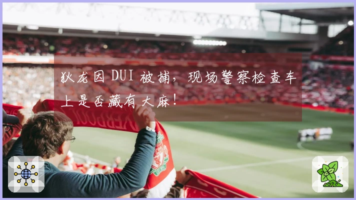 狄龙因 DUI 被捕，现场警察检查车上是否藏有大麻！