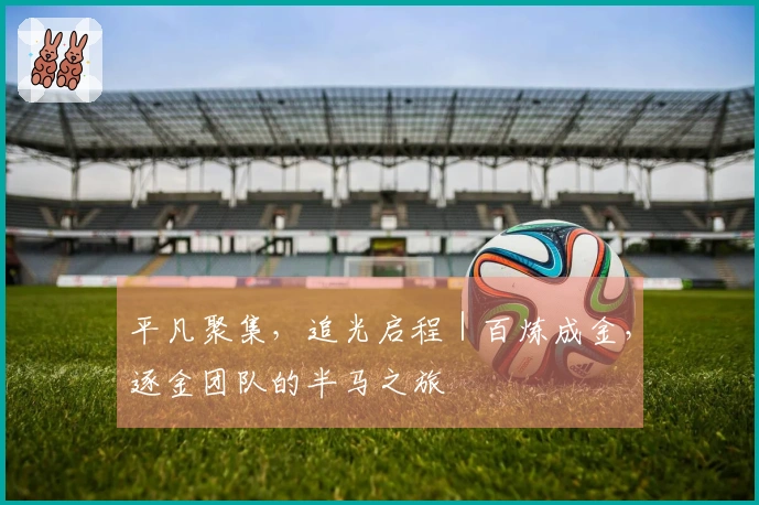 平凡聚集，追光启程｜百炼成金，逐金团队的半马之旅